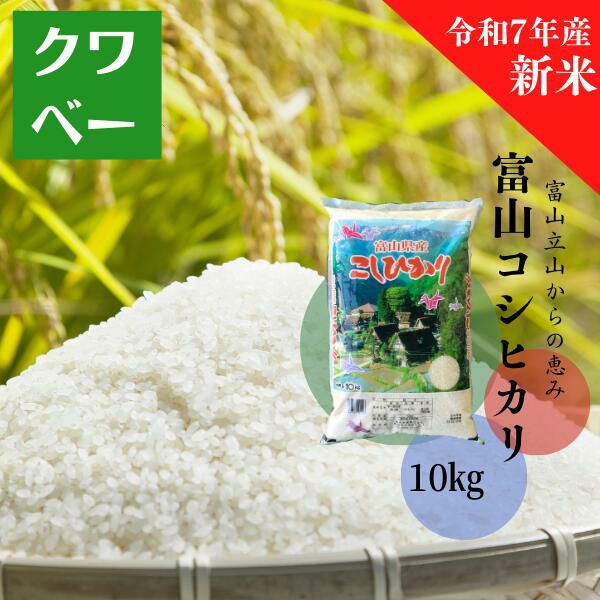 令和7年産 富山県産コシヒカリ 10kg | お米のクワベー 本店