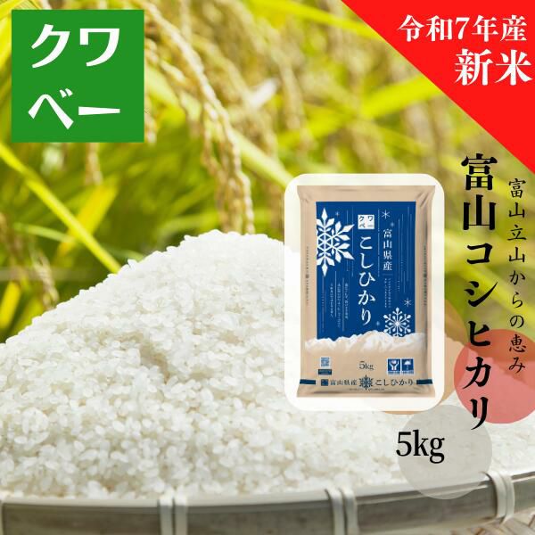 R7年富山県産コシヒカリ白米4.5kg×2袋✳️関東、東海、信越、関西地域限定 楽天市場】米10kg 令和7年産 富山県産コシヒカリ 精米 白米 送料無料